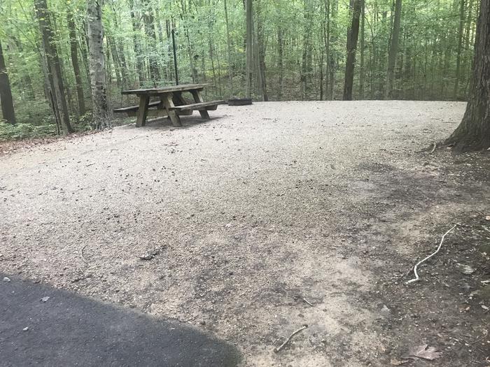 A photo of Site I005 of Loop I at TWIN KNOBS CAMPGROUND with Picnic Table, Fire Pit, Shade, Tent Pad, Lantern Pole