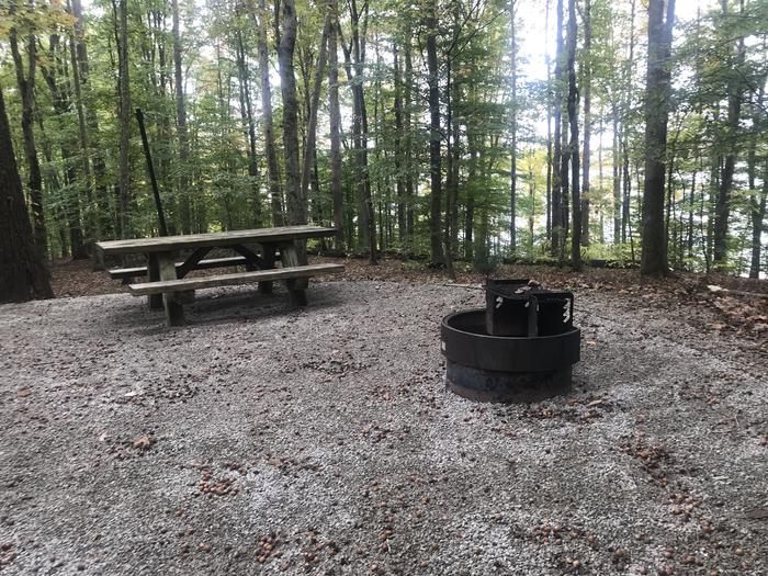 A photo of Site I010 of Loop I at TWIN KNOBS CAMPGROUND with Picnic Table, Fire Pit, Shade, Tent Pad, Lantern Pole