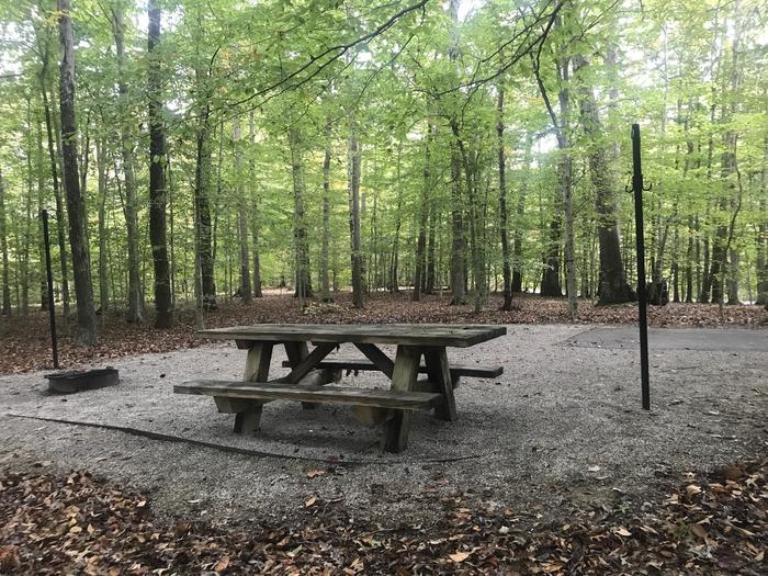 A photo of Site I009 of Loop I at TWIN KNOBS CAMPGROUND with Picnic Table, Fire Pit, Shade, Tent Pad, Lantern Pole