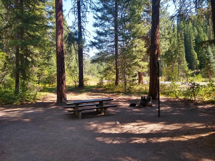 A campsite in a pine forest.Bad Bear Site 1.  See gallery images for more photos of this and other campsites.