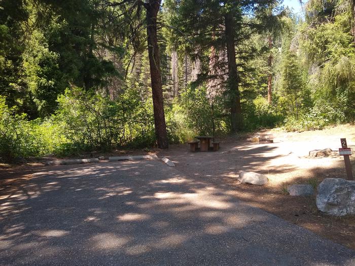 A shady campsite next to a paved parking space.Bad Bear Site 2.