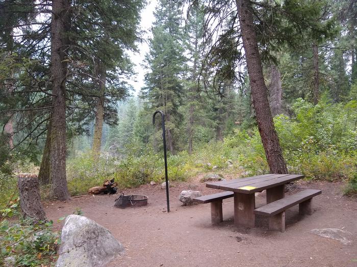 A campsite in the woods with a picnic table, lantern pole, and fire ring.Bad Bear Site 4.