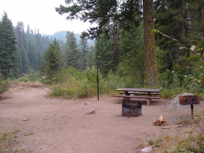 A campsite in the woods, with a picnic table, grill, and lantern pole.Bad Bear Site 5.