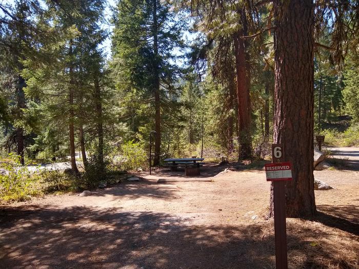 A partly shaded campsite in the woods.Bad Bear Site 6.