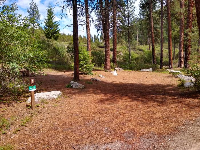 A long pine-needle laden driveway for a campsite.Black Rock Site 4 has a long, wide parking spot.