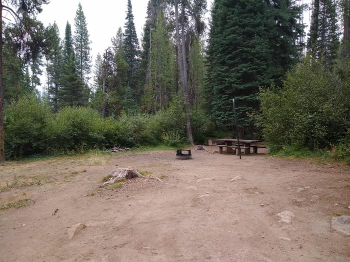 A picnic table, fire ring, and lantern pole in a sunny open camp spot.Edna Creek Site 1 has a wide open camping spot.