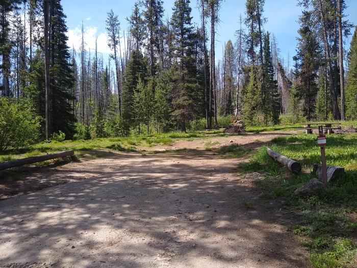 A driveway leading to a campsite in a meadow.Edna Creek Site 4.