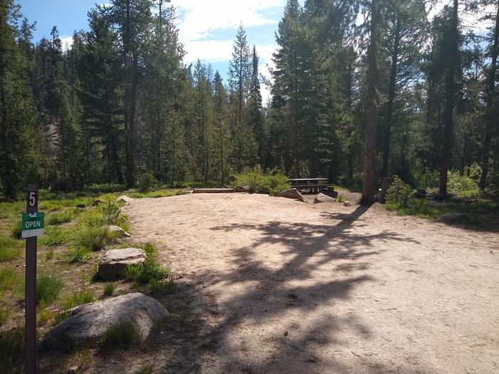 A long, wide driveway leading to a campsite in the woods.