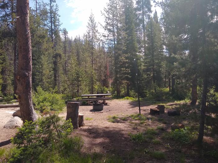 A picnic table, fire ring, and lantern pole.Edna Creek Site 5 from a different angle.