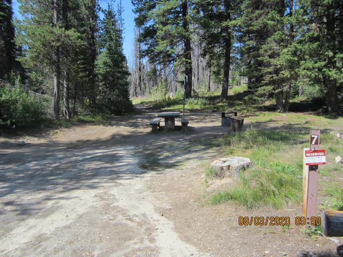 A campsite with a picnic table, fire ring, and lantern pole.