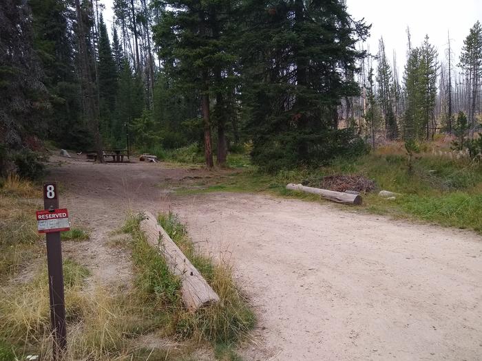 A dirt driveway leading to a shady campsite.Edna Creek Site 8.