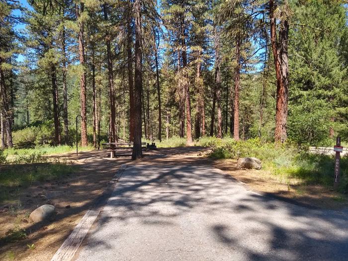 A paved driveway leading to a campsite in the pines.Site 1A at Grayback Gulch (a double site).
