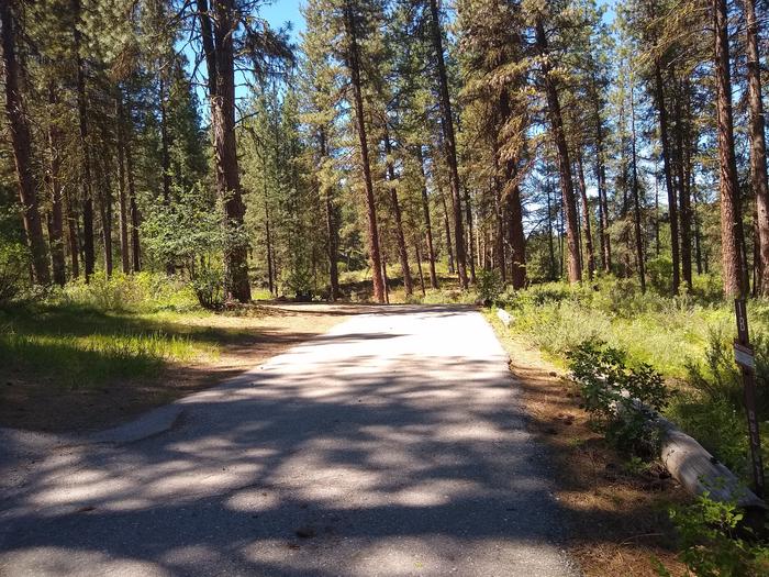 A long paved driveway leading to a campsite in the woods.Site 1B at Grayback (a double site, paired with 1A.)
