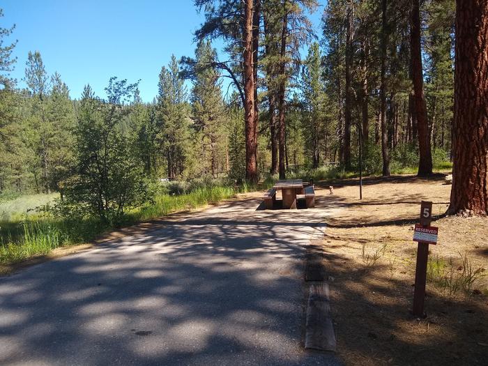 A paved driveway leading to a campsite with picnic table, fire ring, and lantern pole.Grayback Gulch Site 5.