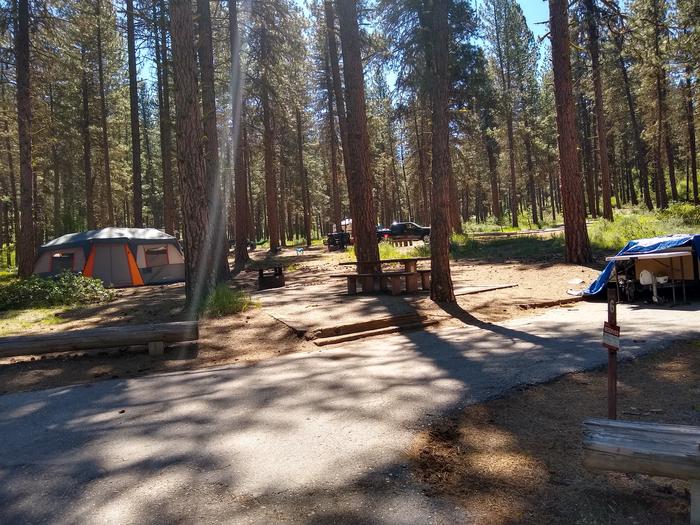 A campsite in the trees with a paved driveway.Grayback Gulch Site 6 (camping gear not included).