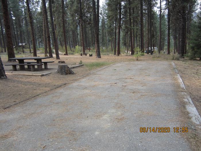 A long paved driveway next to a campsite in the woods.Grayback Gulch Site 10.