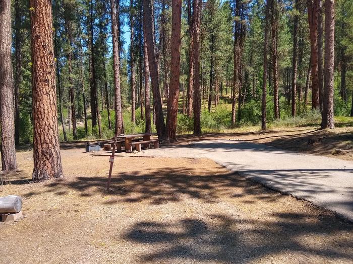 A paved driveway leading to a campsite surrounded by pines, with a picnic table, fire ring, and lantern pole.Grayback Gulch Site 12.