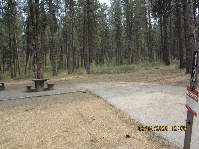 A paved driveway leading to a campsite in the pines.Grayback Gulch Site 13.