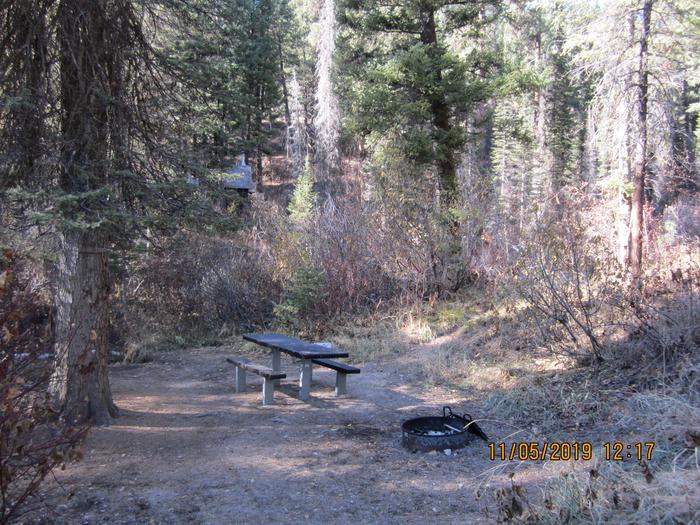  A campsite in the woods, with a picnic table and fire ring.Ten Mile Site 12, closeup of camping area.