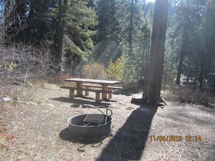 A table and fire ring at a campsite in the woods.Ten Mile Site 11.