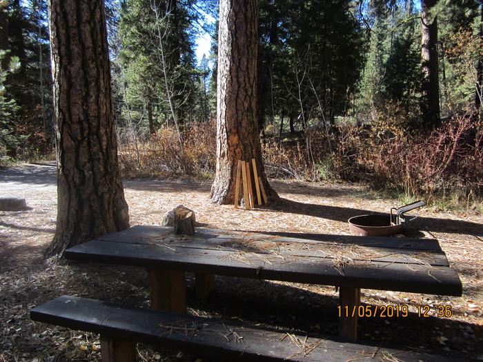 A picnic table and fire ring in a campsite.Ten Mile Site 9.