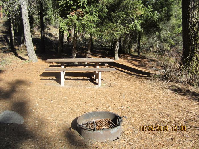 A picnic table and fire ring in a forested campsite.Ten Mile Site 8.