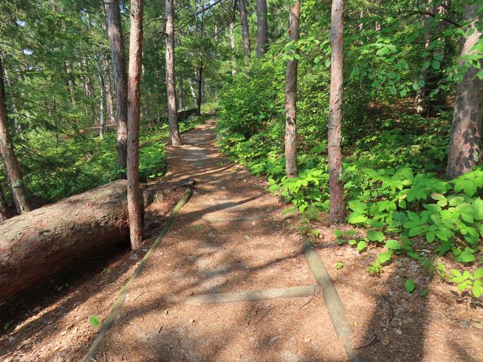Main trail that connects to campsites