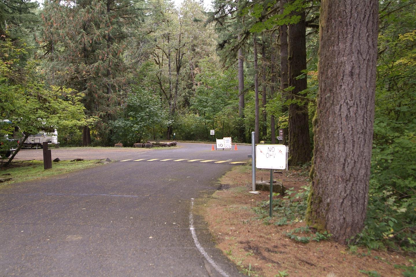 Shotgun Recreation Site entrance. 