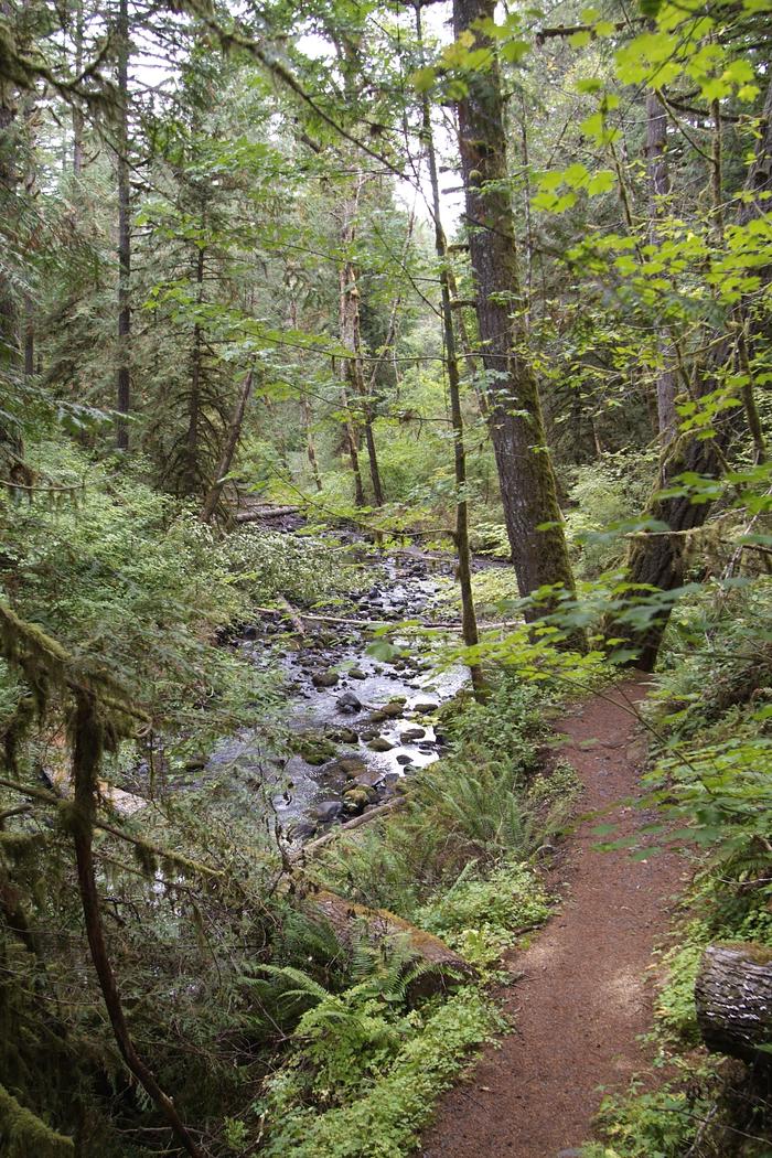 Shotgun Creek trail. 