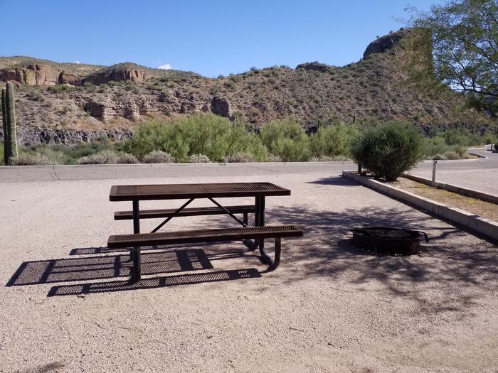 Site 64 with a picnic table, fire ring, and parking.