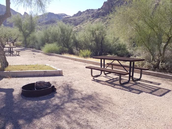 Site 73 with a picnic table, fire ring, and parking.