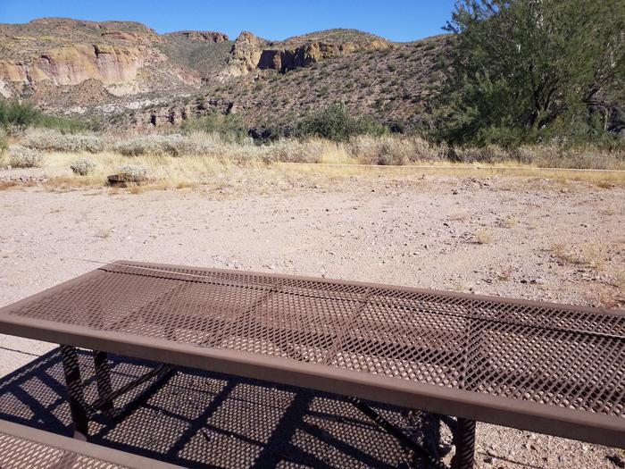 site 8 picnic table and sandy area