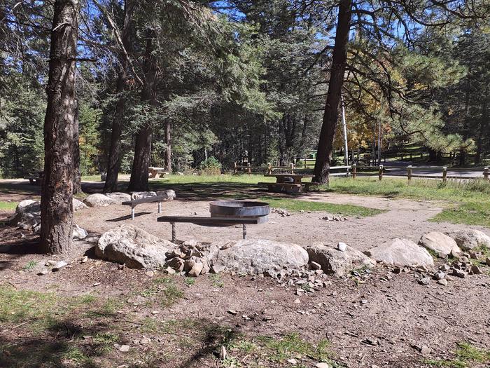 Group fire pit area at Black Bear Group Campground 