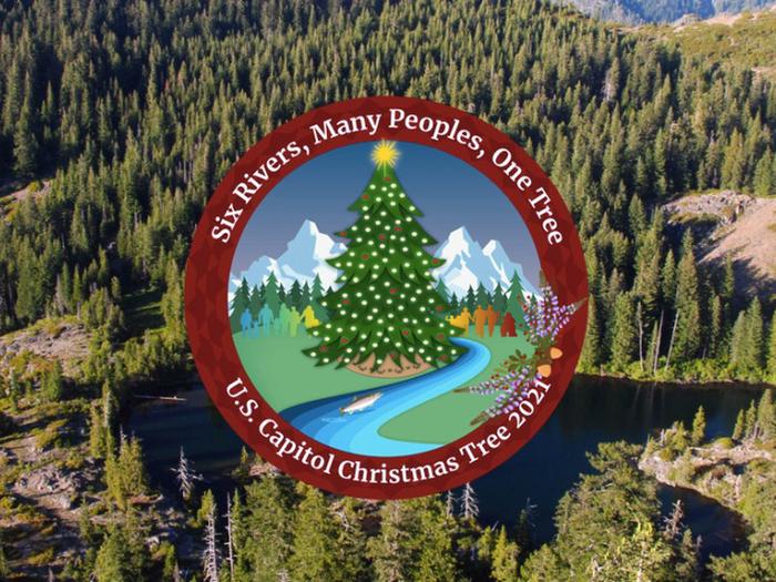 Preview photo of Six Rivers National Forest Christmas Tree Permit