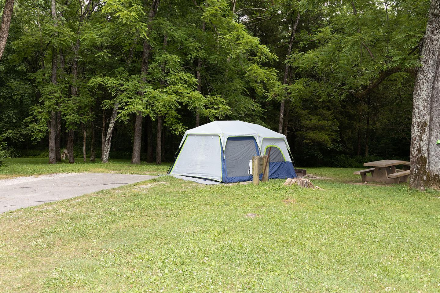 Maple Springs Campground Site 1Large Equestrian/Group Site with water and electric