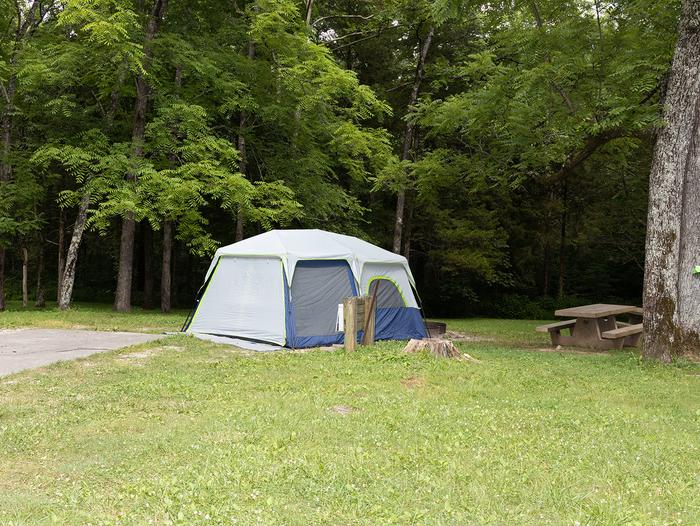 Maple Spring Campsite 1Equestrian, Group, RV, Tent  Site 1
Water/Electric