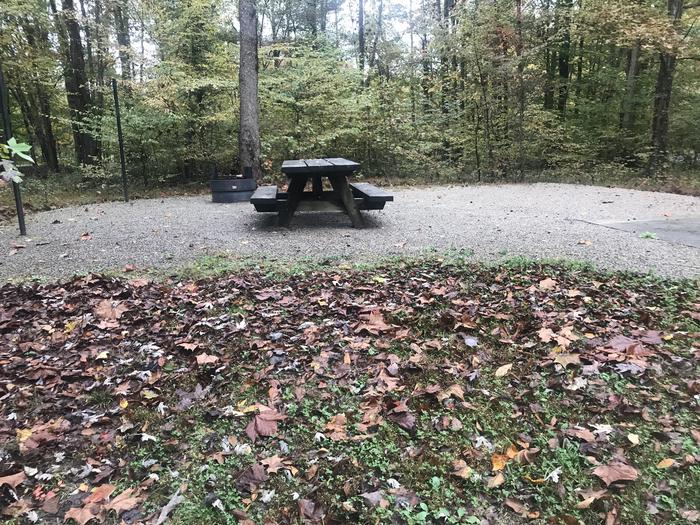 A photo of Site D001 of Loop D at TWIN KNOBS CAMPGROUND with Picnic Table, Fire Pit, Shade, Tent Pad, Lantern Pole