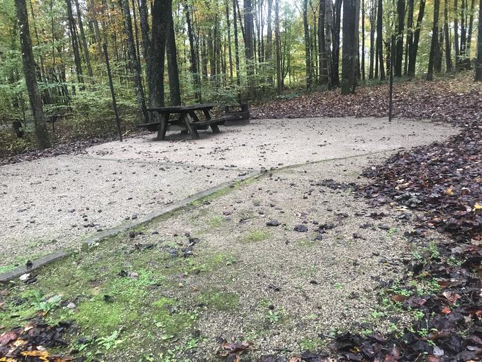 A photo of Site D018 of Loop D at TWIN KNOBS CAMPGROUND with Picnic Table, Fire Pit, Shade, Tent Pad, Lantern Pole