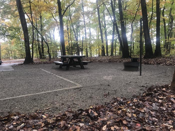 A photo of Site D010 of Loop D at TWIN KNOBS CAMPGROUND with Picnic Table, Fire Pit, Shade, Tent Pad, Lantern Pole