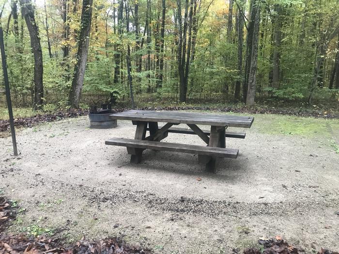 A photo of Site D007 of Loop D at TWIN KNOBS CAMPGROUND with Picnic Table, Fire Pit, Shade, Tent Pad, Lantern Pole