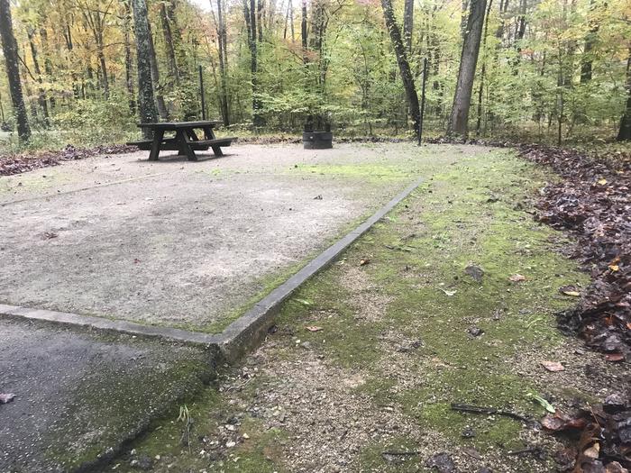 A photo of Site D007 of Loop D at TWIN KNOBS CAMPGROUND with Picnic Table, Fire Pit, Shade, Tent Pad, Lantern Pole