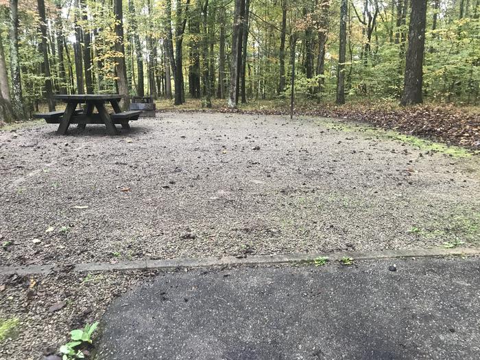 A photo of Site D020 of Loop D at TWIN KNOBS CAMPGROUND with Picnic Table, Fire Pit, Shade, Tent Pad, Lantern Pole