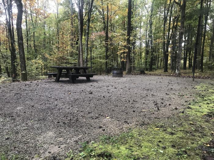 A photo of Site D020 of Loop D at TWIN KNOBS CAMPGROUND with Picnic Table, Fire Pit, Shade, Tent Pad, Lantern Pole