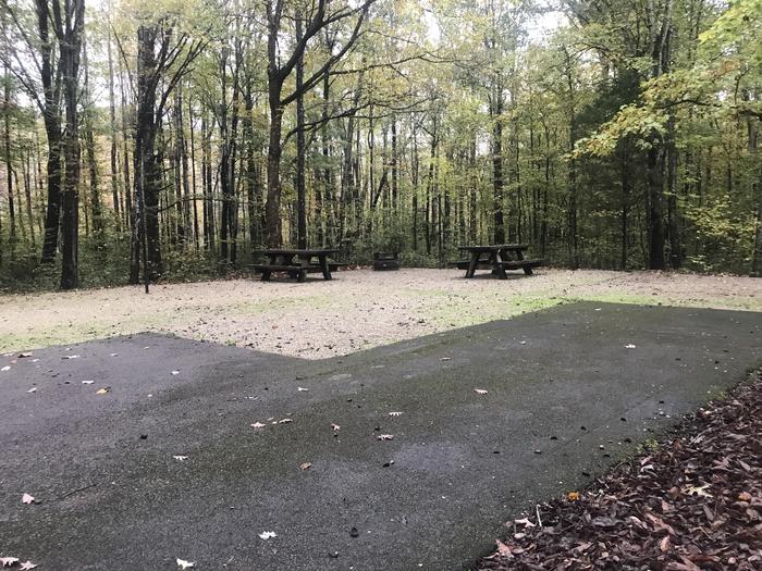 A photo of Site D023 of Loop D at TWIN KNOBS CAMPGROUND with Picnic Table, Fire Pit, Shade, Tent Pad, Lantern Pole