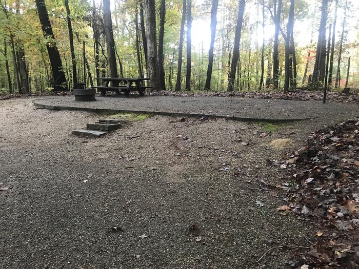 A photo of Site D015 of Loop D at TWIN KNOBS CAMPGROUND with Picnic Table, Fire Pit, Shade, Tent Pad, Lantern Pole