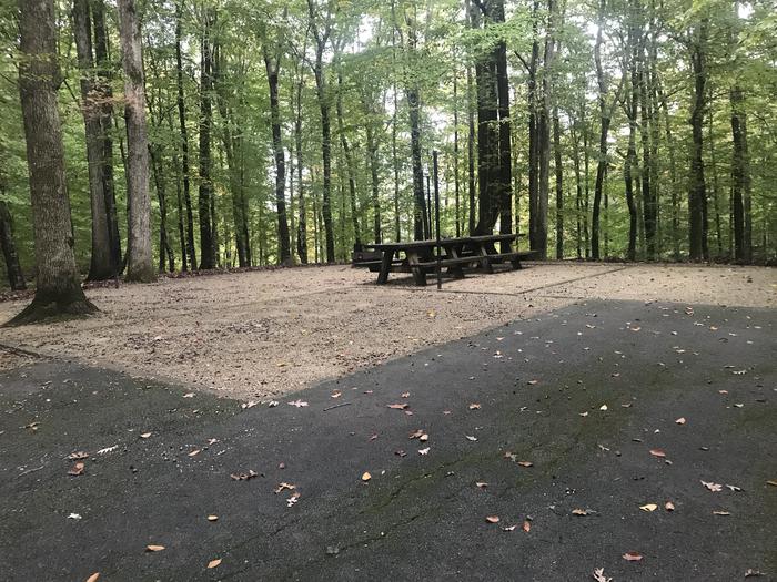 A photo of Site G001 of Loop G at TWIN KNOBS CAMPGROUND with Picnic Table, Fire Pit, Shade, Tent Pad, Lantern Pole