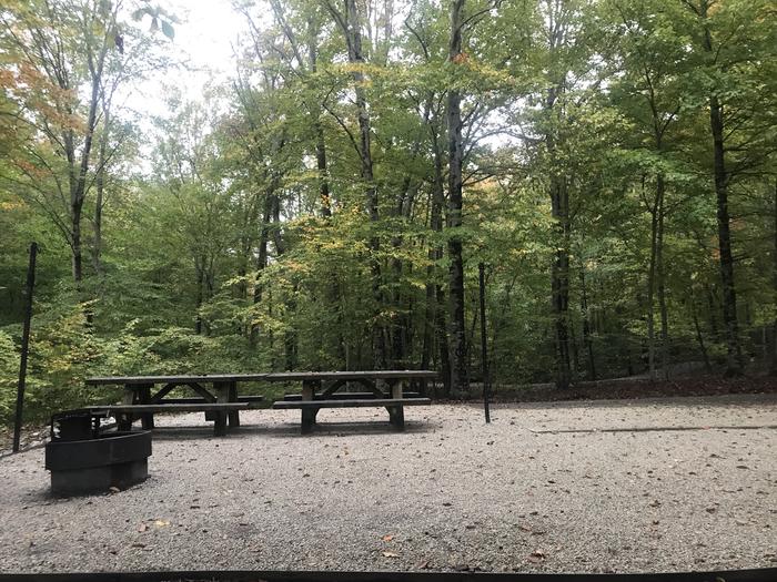 A photo of Site G005 of Loop G at TWIN KNOBS CAMPGROUND with Picnic Table, Fire Pit, Shade, Tent Pad, Lantern Pole