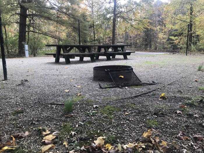 A photo of Site H015 of Loop H at TWIN KNOBS CAMPGROUND with Picnic Table, Electricity Hookup, Fire Pit, Shade, Tent Pad, Lantern Pole