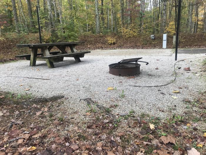 A photo of Site H006 of Loop H at TWIN KNOBS CAMPGROUND with Picnic Table, Electricity Hookup, Fire Pit, Shade, Tent Pad, Lantern Pole