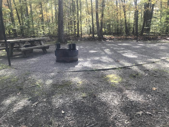 A photo of Site E003 of Loop E at TWIN KNOBS CAMPGROUND with Picnic Table, Fire Pit, Shade, Tent Pad, Lantern Pole